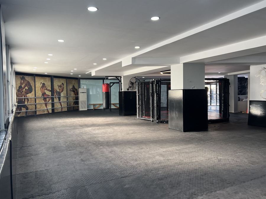Octagon Fight Club salonu — kum torbası, kafes ve Muay Thai duvar freski